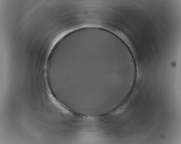 X0000114620958200911101211