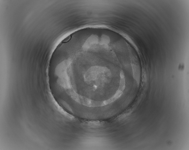 X0000114620959200911101211