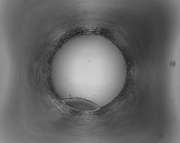 X0000114620961200911101211