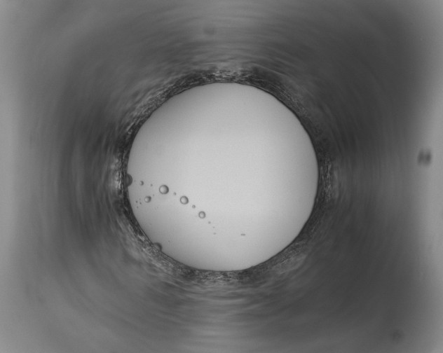 X0000114620962200911101211
