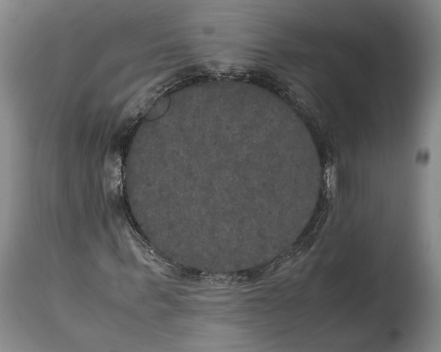 X0000114620963200911101211