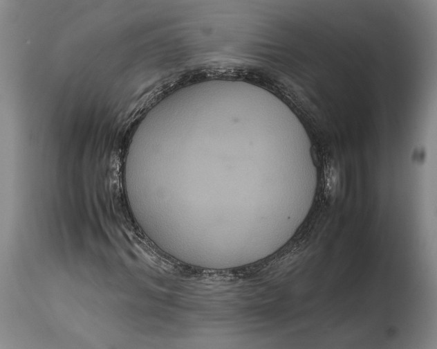 X0000114620964200911101211