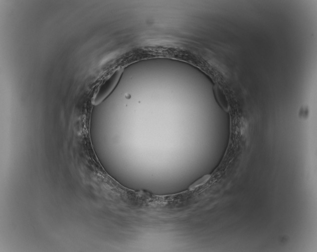 X0000114620965200911101211