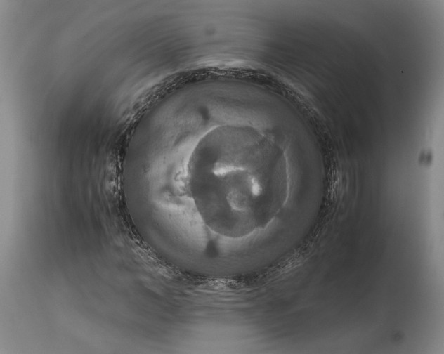 X0000114620966200911101211