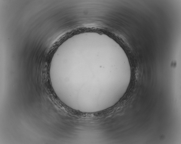 X0000114620968200911101211