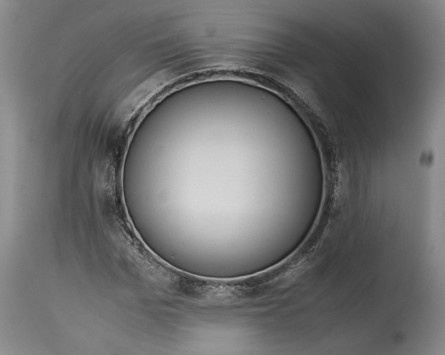 X0000114620969200911101211
