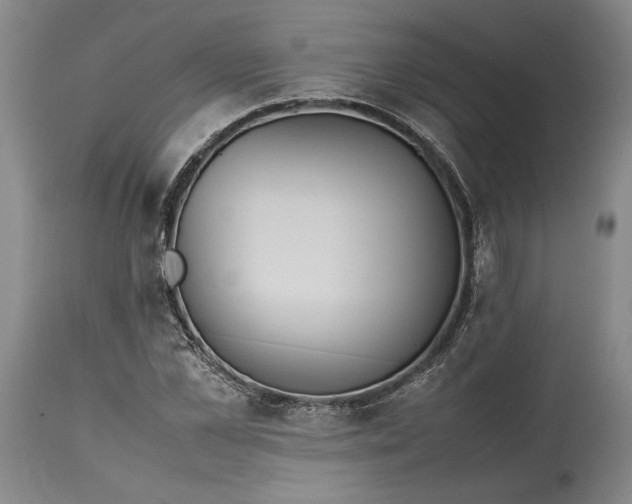 X0000114620973200911101211
