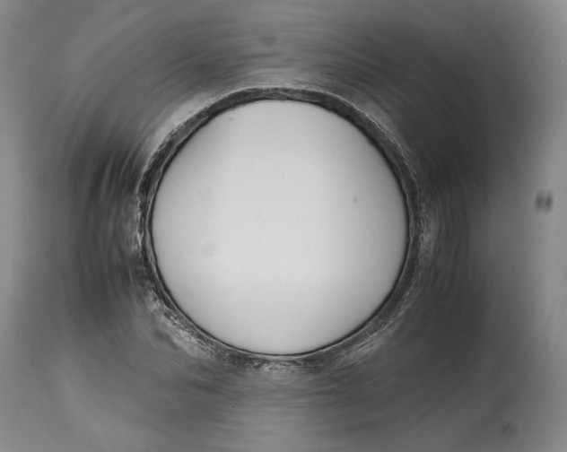 X0000114620974200911101211