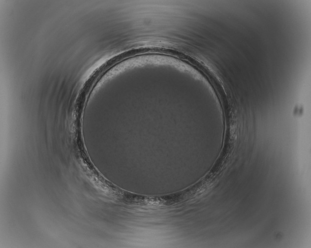 X0000114620975200911101211