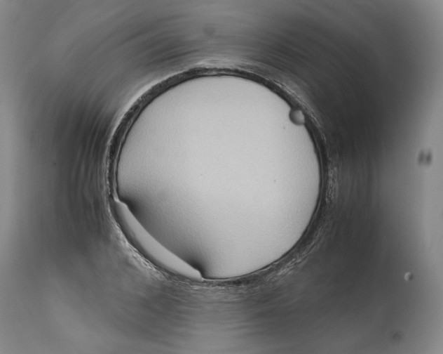 X0000114620976200911101211