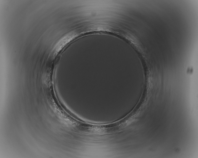 X0000114620977200911101211