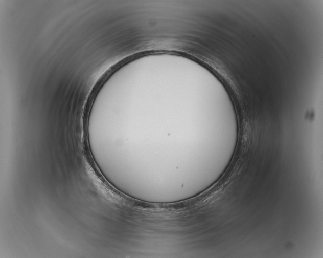 X0000114620980200911101210