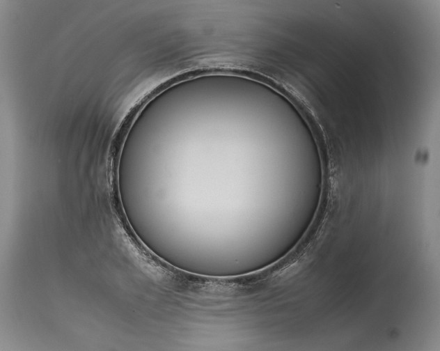 X0000114620981200911101210