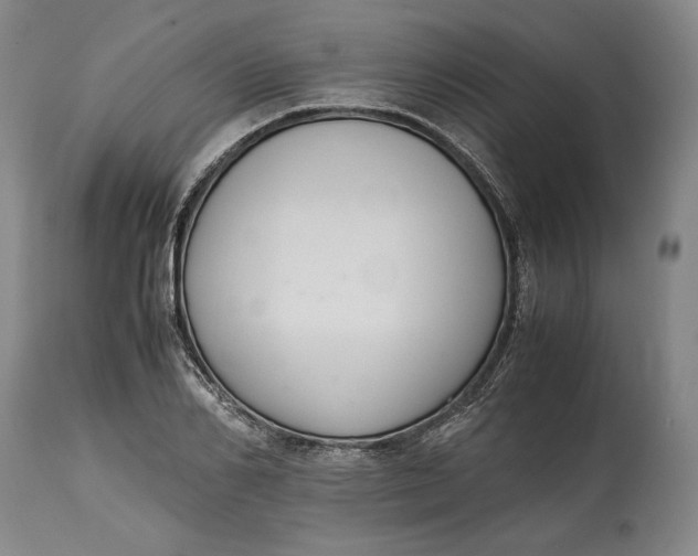X0000114620982200911101210