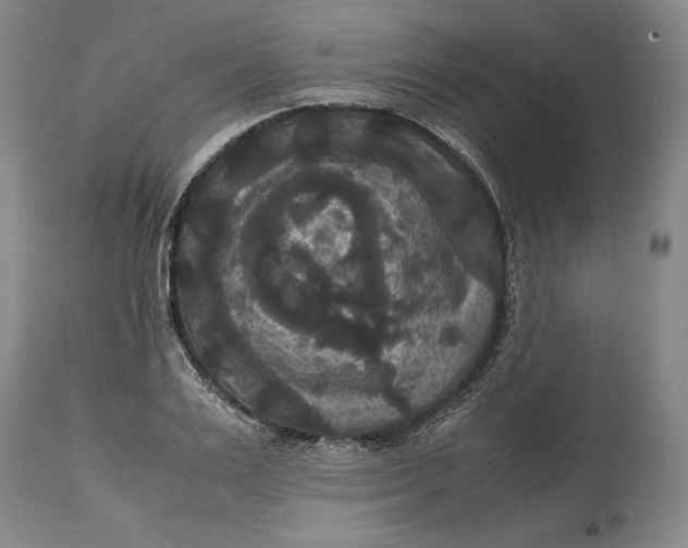 X0000114620983200911101210