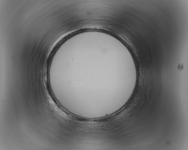 X0000114620984200911101210