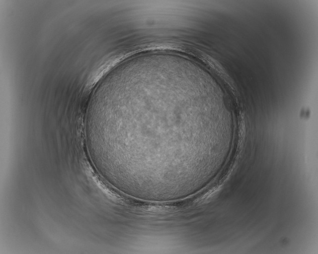 X0000114620985200911101210