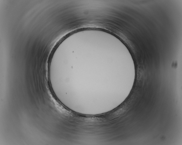 X0000114620988200911101210