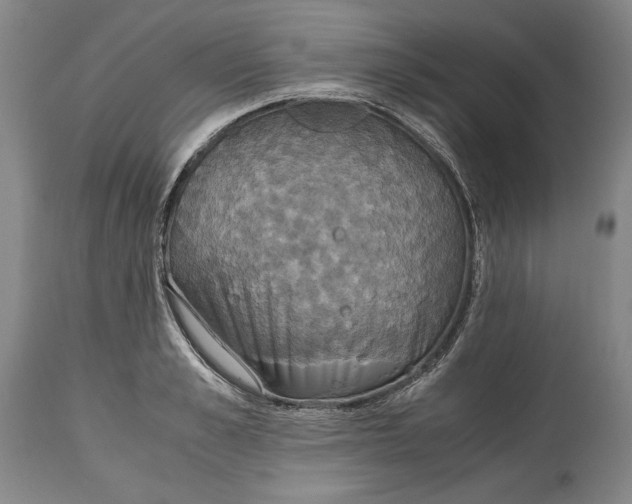 X0000114620989200911101210