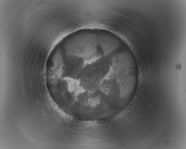 X0000114620990200911101210