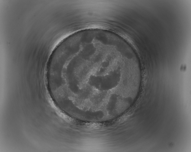 X0000114620991200911101210