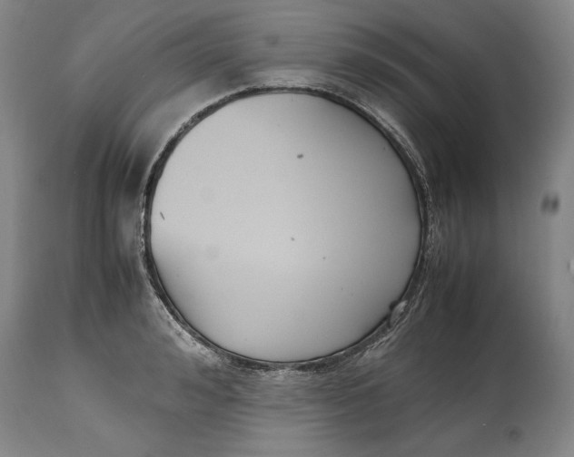 X0000114620992200911101210