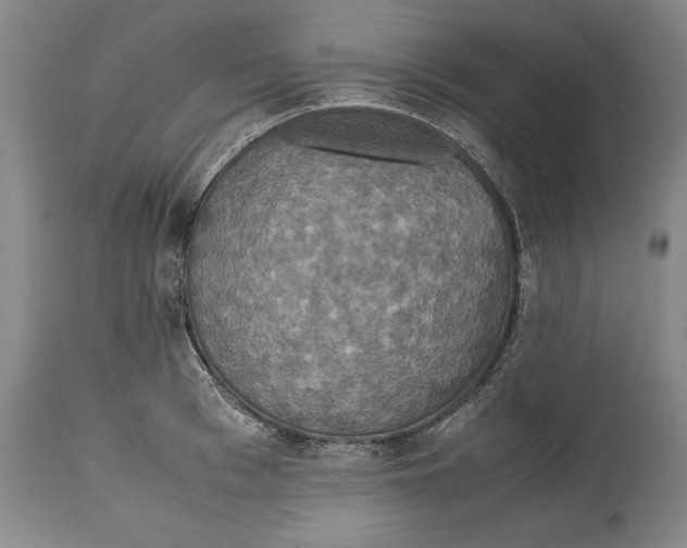 X0000114620993200911101210