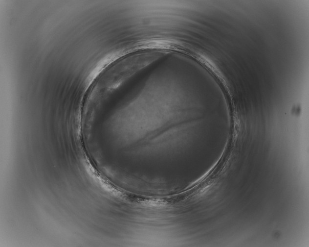 X0000114620994200911101210