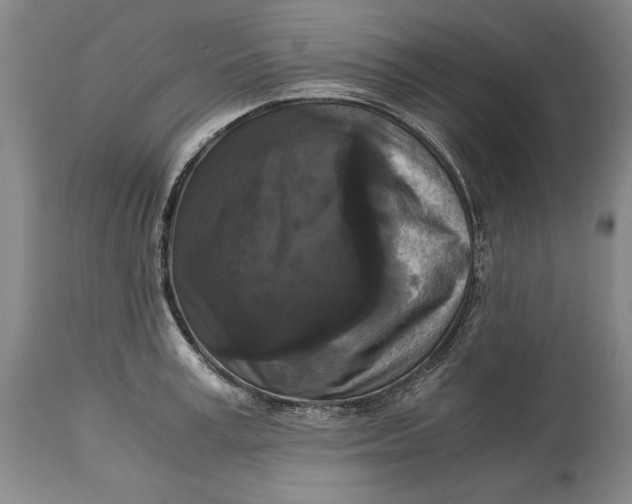 X0000114620995200911101210