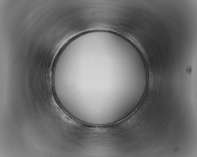 X0000114620996200911101210