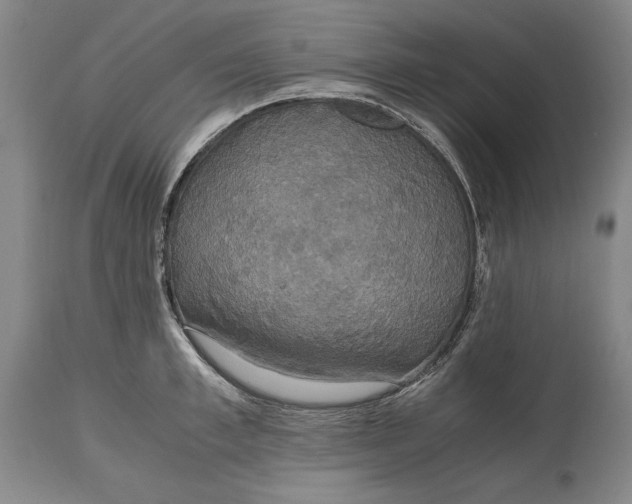 X0000114620997200911101210