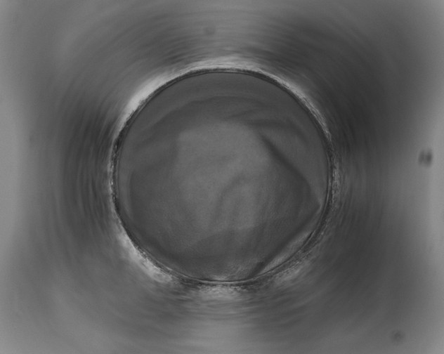 X0000114620998200911101210