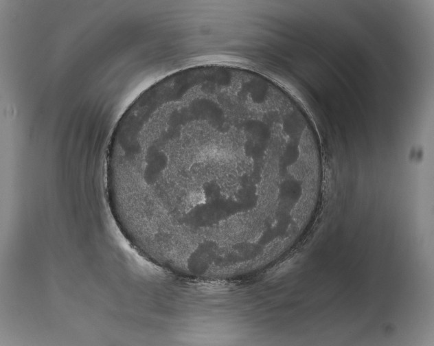 X0000114620999200911101210