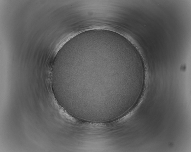 X0000114621001200911101210