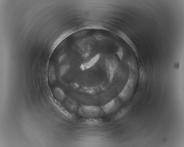 X0000114621002200911101210
