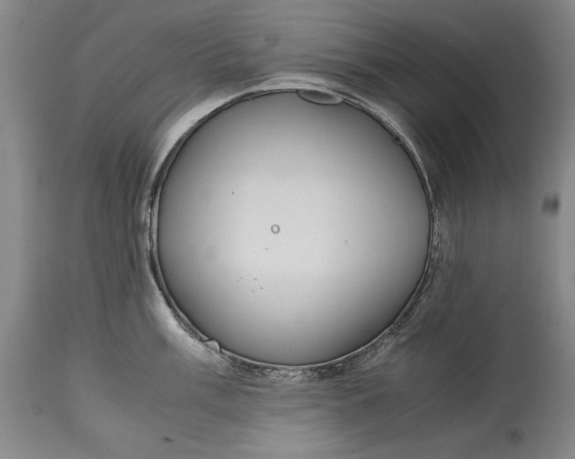 X0000114621003200911101210