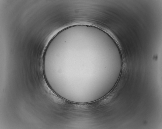 X0000114621004200911101210