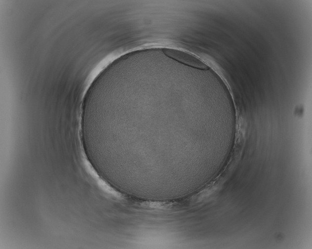 X0000114621005200911101210