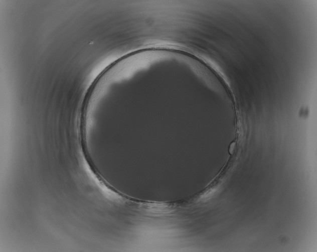 X0000114621007200911101210