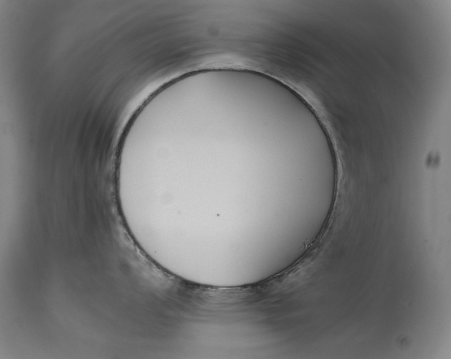 X0000114621008200911101210