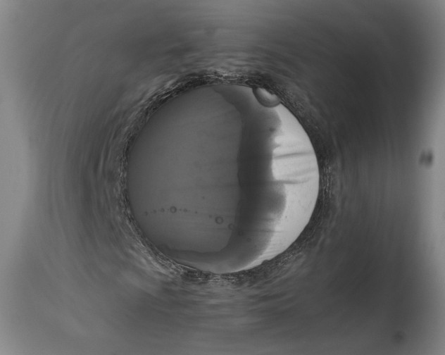 X0000114621009200911101209
