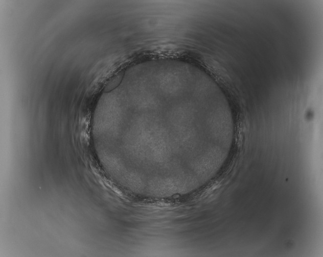 X0000114621010200911101209