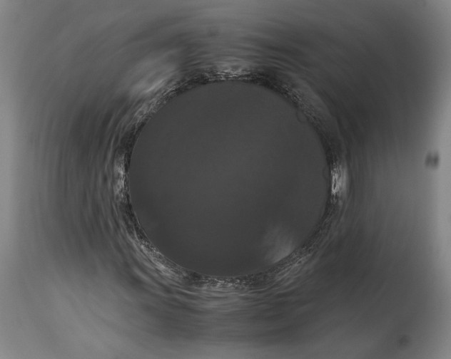 X0000114621011200911101209