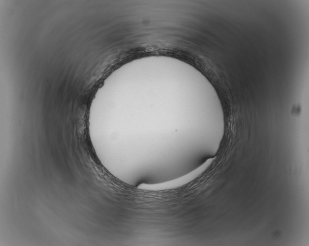 X0000114621012200911101209