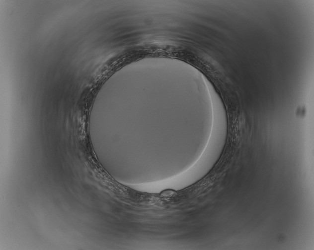 X0000114621013200911101209