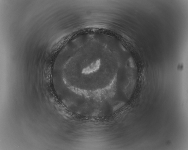 X0000114621014200911101210