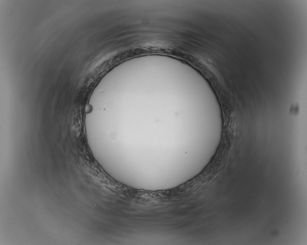 X0000114621015200911101210