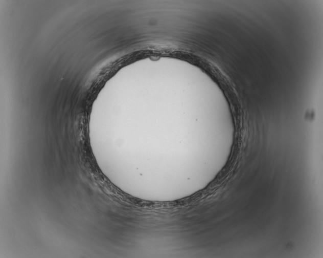 X0000114621016200911101210