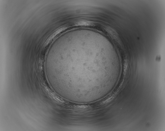 X0000114621017200911101210