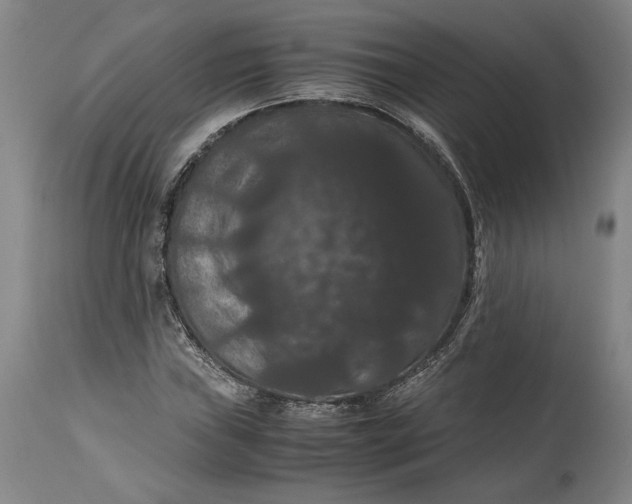 X0000114621019200911101210